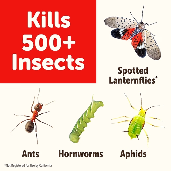 Sevin Insect Killer Spray - Picture 5 of 14